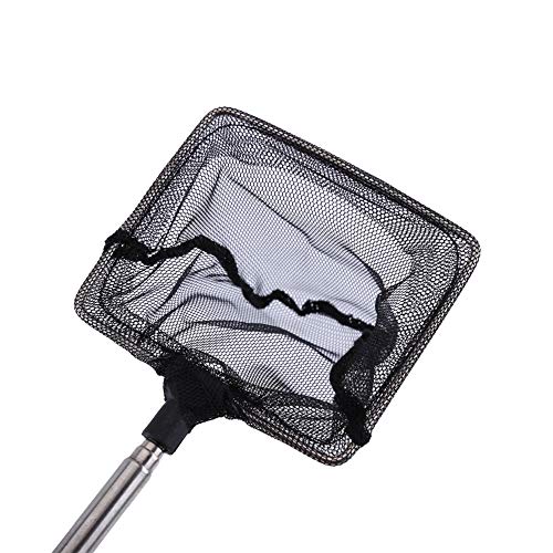 Fishing Landing Net Fish Aquarium Accessories Net Fish Net Fish Skimming Net Goldfish Net Mini Adjustable Telescopic Fishes Shrimps Landing Net for Aquarium Fishbowl Fish () - color: Square