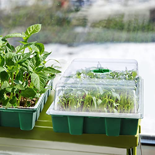 3 Pack Seed Starter Tray Kit with Grow Light Germination Trays with Humidity Dome, 120 Peat Pellets, Gardening Tools, Plant Labels, Plant Growing Trays for Seeds Growing Starting, Green - color: Green