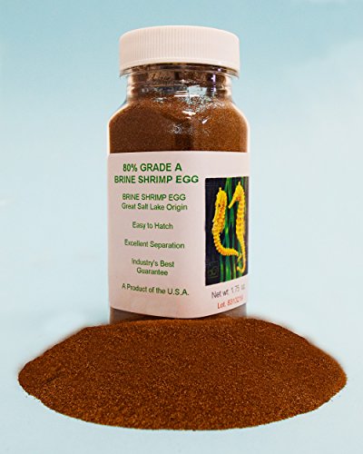 Brine Shrimp Hatchery Dish + 3 Months Supply of Brine Shrimp Eggs (1.75oz Grade A)