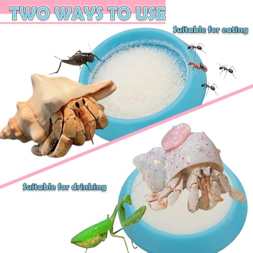 6 Pcs Cricket Water Bowl Plastic Feeding Dish with 6 Pcs Sponge for Hermit Crab Cricket Scorpion Ant Isopod Invertebrate (Blue)