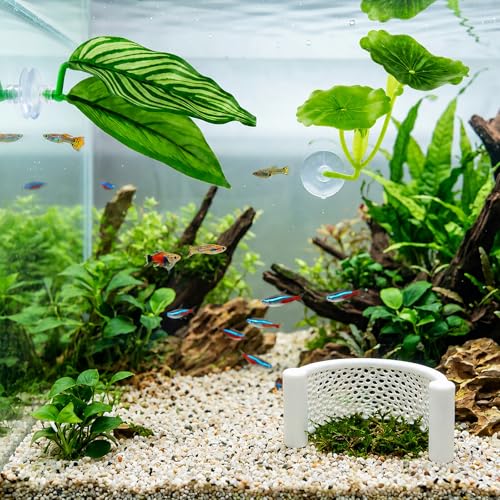 5PCS Betta Hammock, Betta Fish Tank Accessories and Betta Fish Hammock, 3D Printed Floating Betta Bed with Feeding Ring, Beta Fish Tank Decor and Shrimp Hides for Aquarium