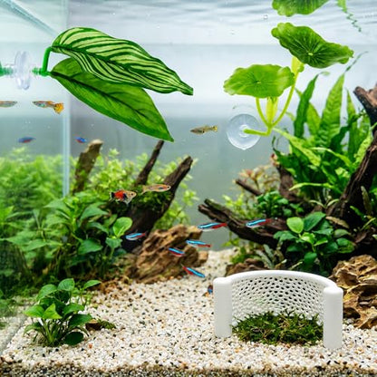 5PCS Betta Hammock, Betta Fish Tank Accessories and Betta Fish Hammock, 3D Printed Floating Betta Bed with Feeding Ring, Beta Fish Tank Decor and Shrimp Hides for Aquarium