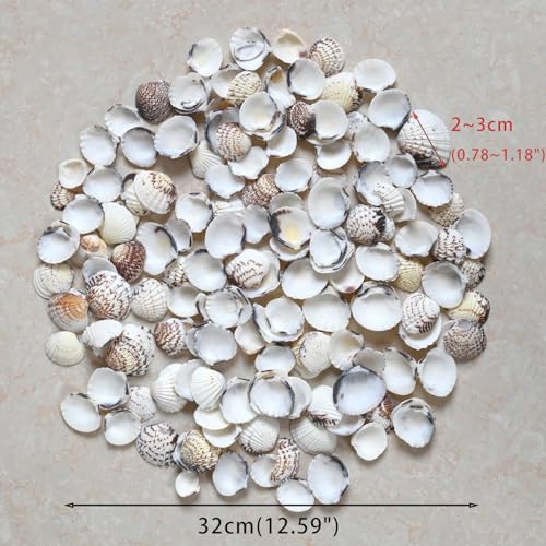 Small Seashells for Crafts, Natural Scallop Shells, Eagle Wing, DIY Assortment, Ocean-Themed Decorations, Fish Tank Plant Gravel, Vase Filler, Wedding and Party Decorations, 220pcs