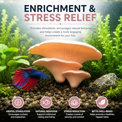 Aquarium Mushroom Hammock for Betta Resting, Aquarium Hideout Shelf with 2 Strong Suction Cups, Natural Betta Hammock & Resting Spot, Fish Safe Decor for Betta Tanks
