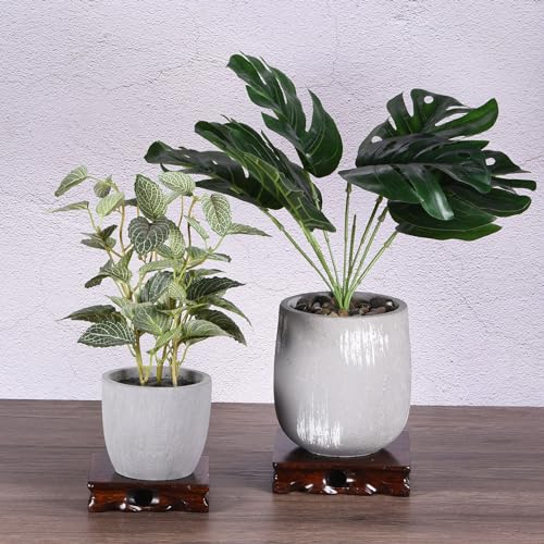 PATIKIL Wooden Display Stand, 5.5 x 5.5 Inch Square Teapot Vase Bonsai Base Wood Stand Holder for Home Office Decoration - size: 5.5 x 5.5 Inch