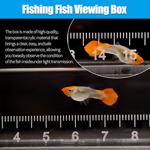 Fish Viewing Box Container with Lid and Scale,Acrylic Fishing Photo Tank Portable Fishing Mini Aquarium, Fish Breeder Hatching Boxes Clear Micro Landscape Fish Tank Isolation Breeder Box (M) - color: M