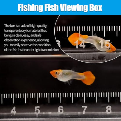 Fish Viewing Box Container with Lid and Scale,Acrylic Fishing Photo Tank Portable Fishing Mini Aquarium, Fish Breeder Hatching Boxes Clear Micro Landscape Fish Tank Isolation Breeder Box (XL) - color: XL