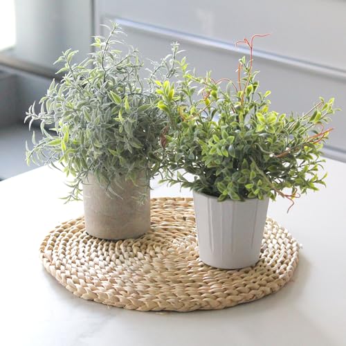 3 Pack Small Fake Plants in White Pulp Pot | Artificial Plants Indoor, for Home House Bathroom Kitchen Office Shelf Table Room Decor, Easy to Clean, Lifelike Appearance - style: Harb
