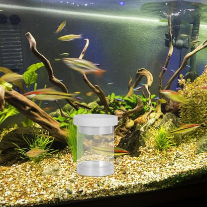 UPKOCH Floating Fish Incubator Breeding Box for Aquarium Tank, Small White Plastic Isolation Hatchery Box for Guppy Fry and Fish Eggs, Floating Fry Hatchery Suitable for Aquarium Breeding