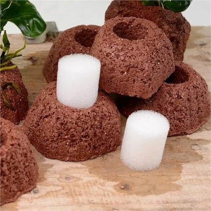 40pcs Aquatic Water Plant Fixed Rings Landscape Ceramic Pottery Pot Gravity Ring for Fish Tank Decoration
