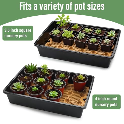 5 Pack Nursery Pots Trays with Removable Mesh Drainage Mat, Plastic Seed Starter Trays (17"x12"x3.5") with Drainage Hole, Propagation Kit for Seedlings, Microgreens, Plant Germination (Black) - size: 17" L x 12" W x 3.5" H