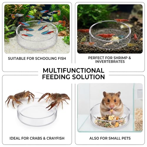4 Pcs Shrimp Feeding Dish, Glass Fish Tank Feeder 65mm and 85mm Round Clear Aquarium Feeding Dish Freshwater Tray Feeder