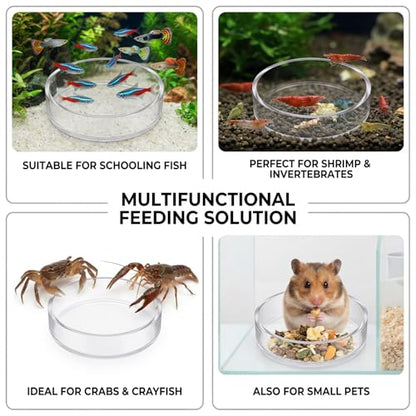 4 Pcs Shrimp Feeding Dish, Glass Fish Tank Feeder 65mm and 85mm Round Clear Aquarium Feeding Dish Freshwater Tray Feeder