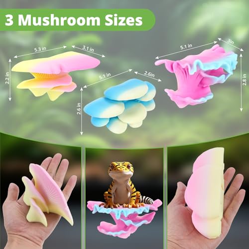 Mushroom Decor for Reptile Tank, Fish Tank, Pet-Safe Bearded Dragon Tank Accessories, Realistic Terrarium Plants for Leopard Geckos, Crested Geckos, Tree Frogs, Snakes (Lagoon, Shelf Cap)
