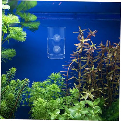 Floating Fish Feeding Sturdy Aquarium Feeder Circle Cup Convenient Feeding for Fish Tanks Easy to Use and Reusable Design