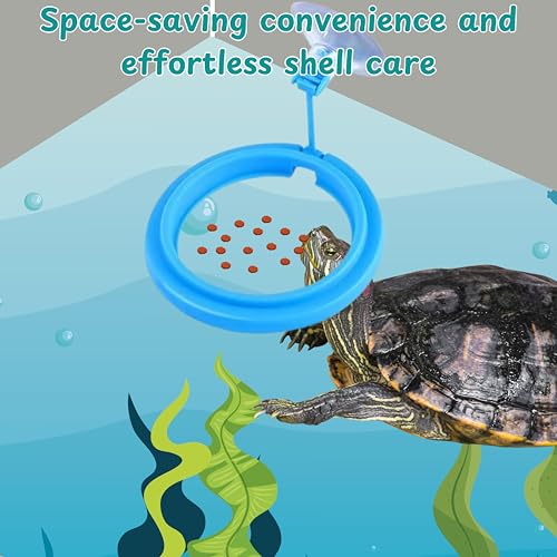 Turtle Brush with Suction Cup & Feeding Ring, 2-Piece Cleaning & Feeding Set (Green)