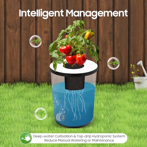 Hydroponics Grow System with Top Drip Kit, 20L/5.28Gal Deep Water Culture, Recirculating Drip Garden Systems with Multi-Purpose Trachea and Air Pump, 6 Hydroponic Tanks