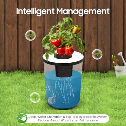 Hydroponics Grow System with Top Drip Kit, 20L/5.28Gal Deep Water Culture, Recirculating Drip Garden Systems with Multi-Purpose Trachea and Air Pump, 6 Hydroponic Tanks