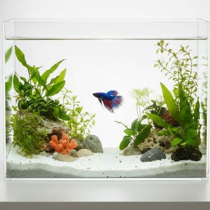 3 Gallon Acrylic Fish Tank with Mat, Small Aquarium for Raising Betta Fish, Goldfish, Snails, Snakes, Shrimp, and Aquatic Plants, Easy to Maintain