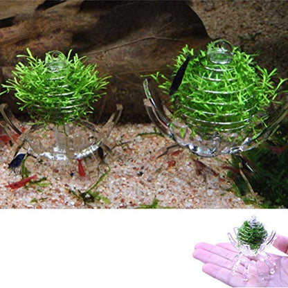 POPETPOP Shrimp Feeding Dish-2pack Shrimp Bowls Transparent Shrimp Feeder Food Acrylic Dishes Shrimp Tank Accessories for Shrimp Food