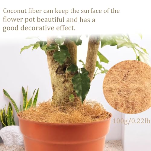 Long Coconut Husk Fiber Mulch Silk for Orchids Clean Coconut Shell Moss Covering 0.22 Pounds - size: 100 grams/0.22 pounds