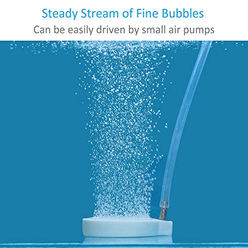 Pawfly 2 Inch Air Stone Disc Aerator Bubble Diffuser for Small Air Pump Aquarium Fish Tank Bowl