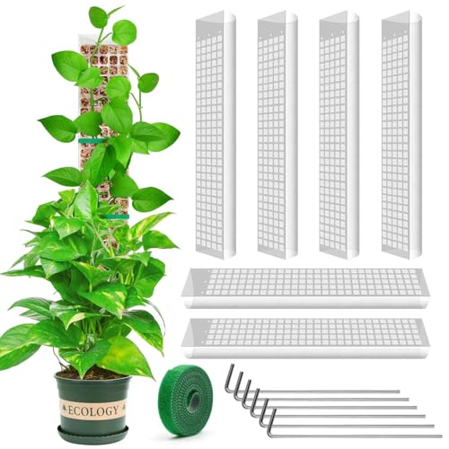 YSKS 6 Pcs 24-inch Plastic Moss Poles for Plants ，Moss Poles for Climbing Plants, Indoor Plant Support Work with Sphagnum muss