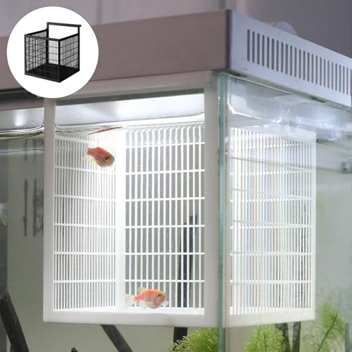 Protective Nursery Habitat for Fry Growth Predation Ventilation Design Breathable Fishing Nursery Box Protecting Newborns Fry Aquariums Simple Setups