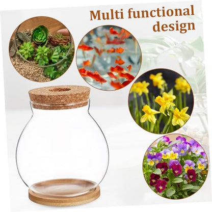 Desktop Hydroponic Fish Bowl Glass Aquarium with Mat for Betta and Aquatic Plants Stylish Terrarium for Decor