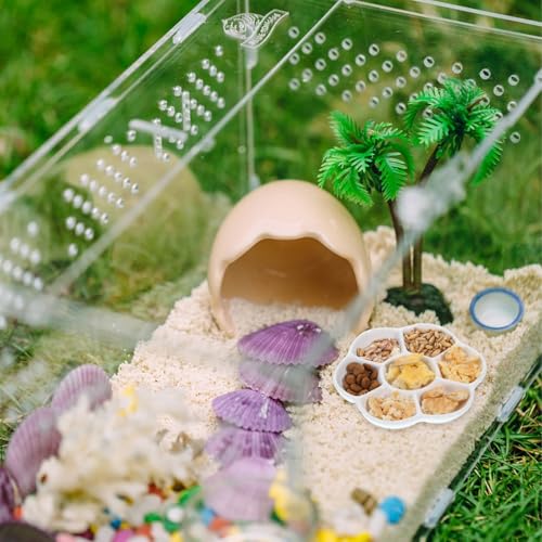 2Pcs Hermit Crab Food Dish, 7 Compartments Anti-Turning Food & Water Bowl, Tiny Reptile Water Bowl for Small Animal Hermit Aquarium Accessory