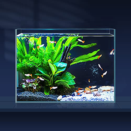 3 Gallon Ultra Clear Glass Fish Tank, Rimless Low Iron Aquarium for Betta/Nano/Goldfish/Snail/Shrimp, Small Fish Tank with Fish Net & Cleaning Tools - color: 3 Gal