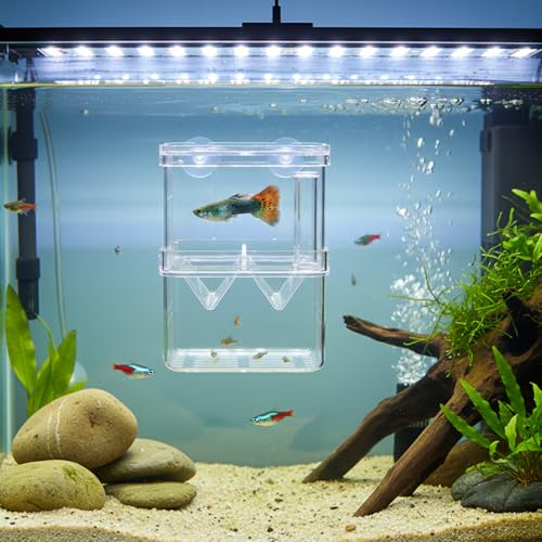 Aquarium Breeder Box, Breeder Box for Fish Tank 2 Layer Transparent Aquarium with Sucrion Cups Plastic Fish Breeding Boxes for Small Shrimp Clown Guppies