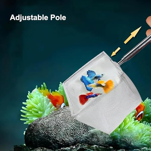 2-Piece Stainless Steel Fish Net Set – Fine Mesh, Extendable Handle, Round & Square Nets for Aquarium, Fish Tank, Small Fish Catching