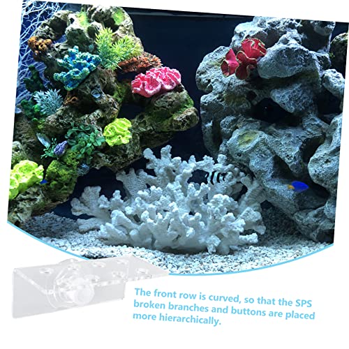 Angoily 8holes Acrylic Coral Rack for Aquariums Safe Coral Base Strong Cups for Secure Support and Optimal Light Exposure for Growth