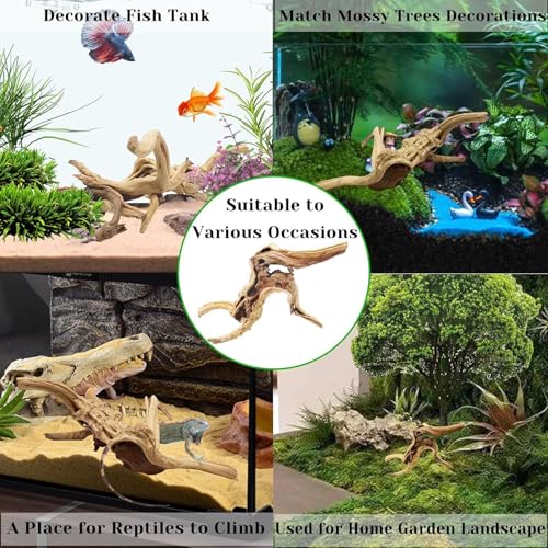 Natural Driftwood for Aquarium, 11-13 inch Reptile Branches Terrarium Wood Aquarium Trunk Driftwood Tree Fish Tank Log Decoration Pack of 2 - size: Spiderwood（7-13 inch pack of 2）