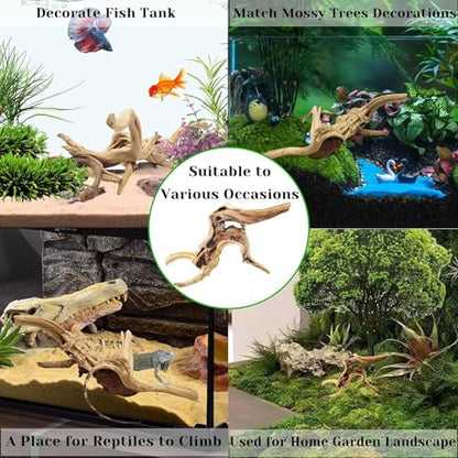 Natural Driftwood for Aquarium, 11-13 inch Reptile Branches Terrarium Wood Aquarium Trunk Driftwood Tree Fish Tank Log Decoration Pack of 2 - size: Spiderwood（7-13 inch pack of 2）