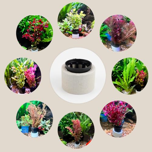Aquatic Plants Fixed rings Set Aquarium Plant Weights Pot Aquarium Accessories (30)