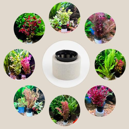 Aquatic Plants Fixed rings Set Aquarium Plant Weights Pot Aquarium Accessories (30)