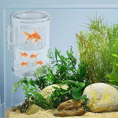 Breeder Box for Fish Tank – Mini Aquarium Isolation Container, Clear Acrylic Hatchery with Suction Mount, Acclimation and Observation Tool | Ideal Breeding Fry, Small Fish, Shrimp, Betta, Tropical