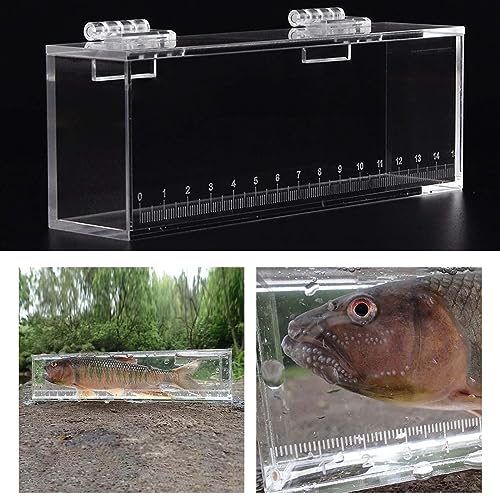 Acrylic for Fishing Photo Tank, L