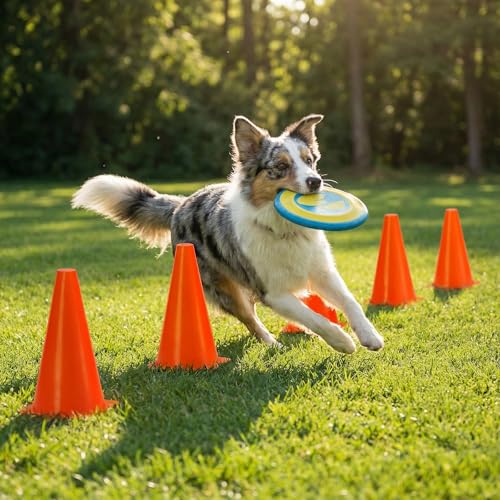 Bekith 30 Pack 9 inch Plastic Traffic Cones, Orange Soccer Traning Cones Plastic Agility Sports Cones, Indoor/Outdoor Use