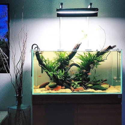 Java Fern Live Aquarium Plants - Freshwater Plant for Fish Tanks - Beginner Friendly, Low Light (Java Fern, Bare Root (1 Piece)) - color: Java Fern, size: Bare Root - 1 Count