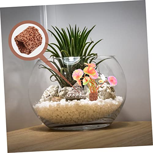 10Pcs Durable Fixed Ring for Water Plants Creative Pottery Decor Holder for Fish Tank for Aquatic Plant Cultivation and Freshwater Landscape Decoration