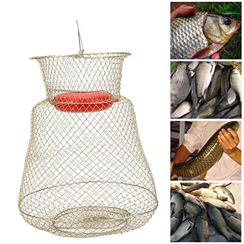 Portable Fishing Cage, Fish Basket Large Load Bearing Stainless Steel with Floating Bowl for Fishing(33cm in diameter)