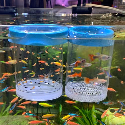 Fish Breeder Box for Fishes Tank Isolation Aquarium Separator Hatchery Incubator for Guppy Baby Betta Saltwater Clownfish Coral Aggressive or Injured Fish (Large Two-Piece Set) - size: Large two-piece set