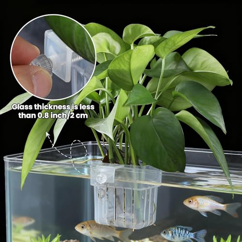 2 PCS Aquarium Plant Holder, Clear Top Hanging Fish Tank Plant Holders, Aquarium Planter Cups with Hook and Screws for Fish Tank Aquaponic Plant Cultivation and Aquascape Decorations