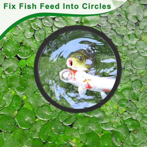 5 Pcs Round Feeding Ring for Fish Tank, 5 Sizes Aquarium Floating Plant Barrier Floating Plant Corral Fish Tank Aquarium Accessories for Betta(Black)