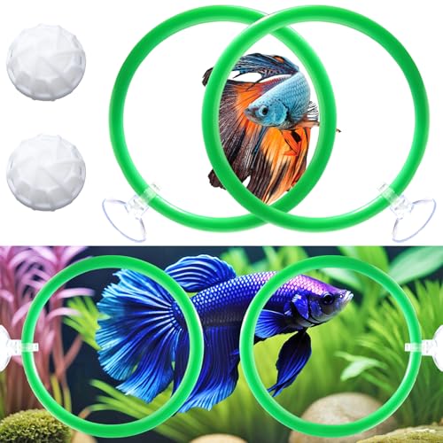 Betta Fish Toys - 4 Training Rings & 2 Bio Filter Balls, Beta Exercise Loop Toys and Nitrifying Balls Set, Betta Fish Tank Accessories Feeding Ring for Small Tank Decor Aquarium Water Conditioner - color: Green