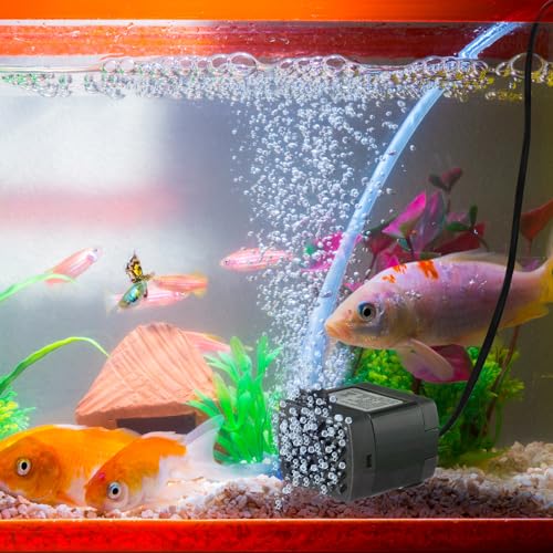 12 Set Mini Fountain Pump 50 GPH 3W Small Submersible Water Pump with 3.3 ft Tube Electric Quiet Aquarium aspirator for Fish Tank, Pond, Pool, Aquariums, Pet Fountain Hydroponics