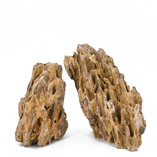 Dragon Stone Aquarium Rocks 5lb Seiryu Stone for Aquariums Landscaping Model Fish Tanks Terrariums Vivariums Paludarium Amphibian Enclosures(2-4 inches) - size: 5LB(2-4 inches)
